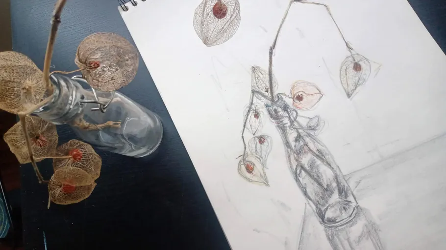 Getrocknete Blumen in Vase, auf Papier gezeichnet.