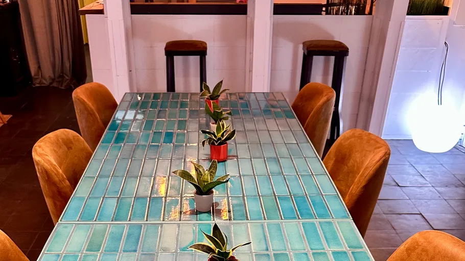 Plants on long turquoise tiled table indoors.