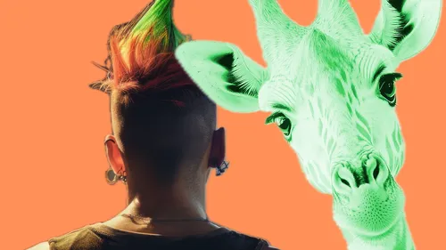 Person mit Irokesen und Giraffe auf orangem Hintergrund.