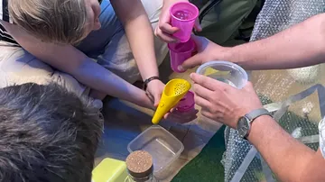 People arranging colorful cups on a table.