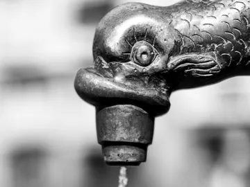 Dornenschlangenhahn gibt Wasser gegen unscharfen Hintergrund ab.