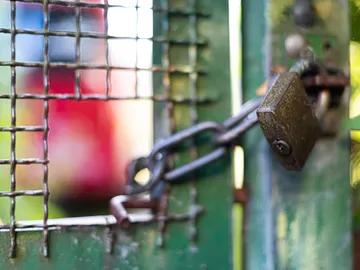 A locked padlock on a green gate.