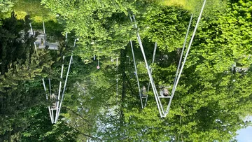 Upside-down metal structure amidst green trees.
