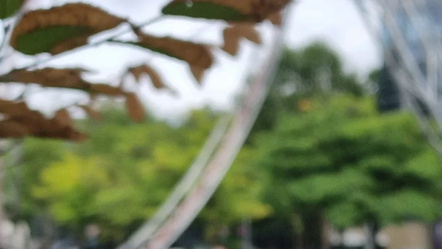 Verschwommene Blätter mit Straße im Hintergrund.