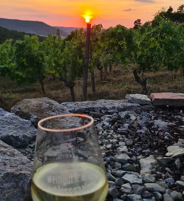 Wine glass on rocks, sunset over vineyard.