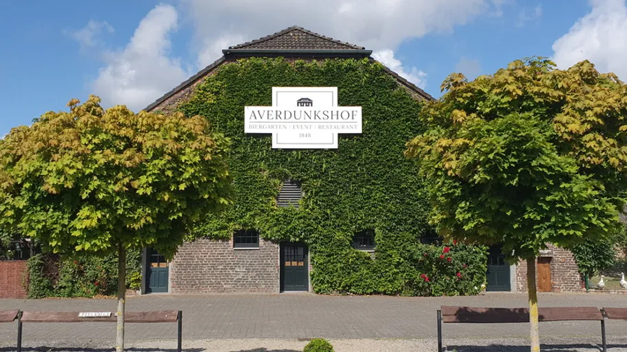 Building with ivy and two trees, blue sky.