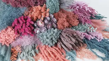 Colorful dried flowers arranged in a cluster.