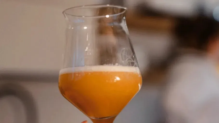 Orangenes Getränk im Glas, unscharfer Hintergrund.