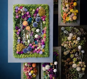 Bunte Trockenblumen in Rahmen an der Wand.