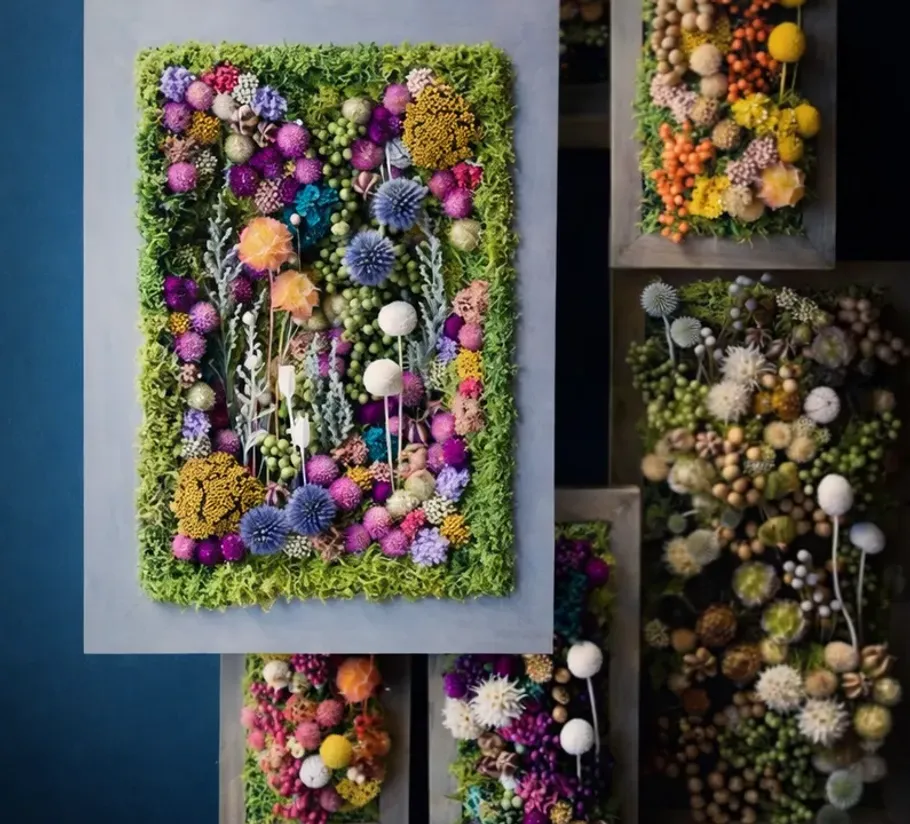 Colorful dried flowers arranged in frames on wall.