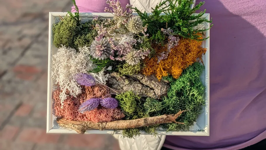 Person hält Rahmen mit buntem Laub.