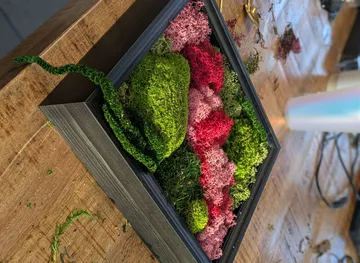 Framed moss art on wooden table.