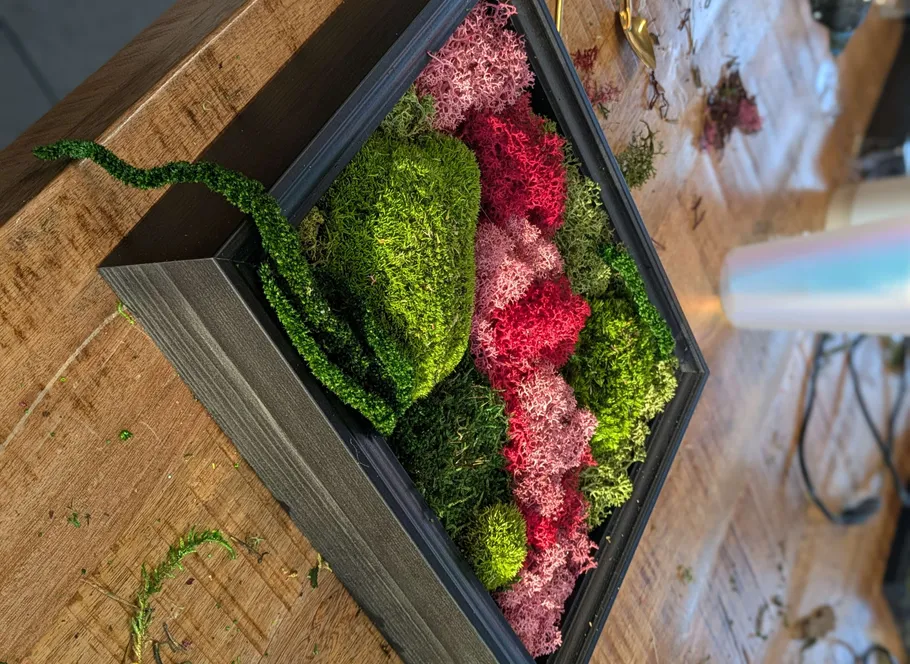 Gerahmtes Mooskunstwerk auf Holztisch.