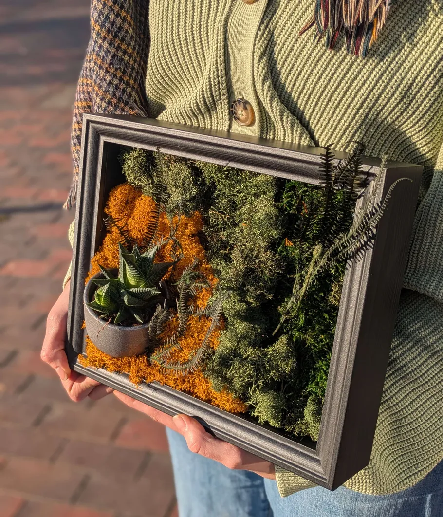 Person holds framed moss and plant artwork.