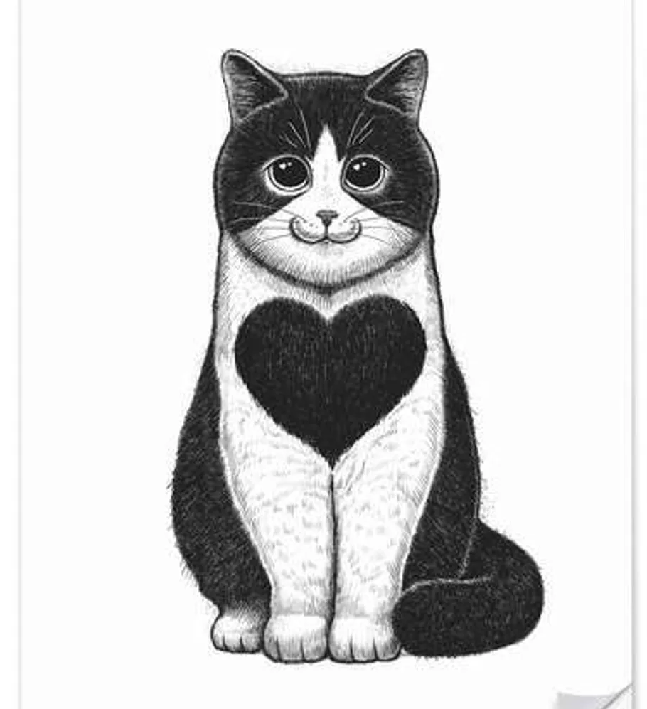 Cat with heart-shaped mark on chest.