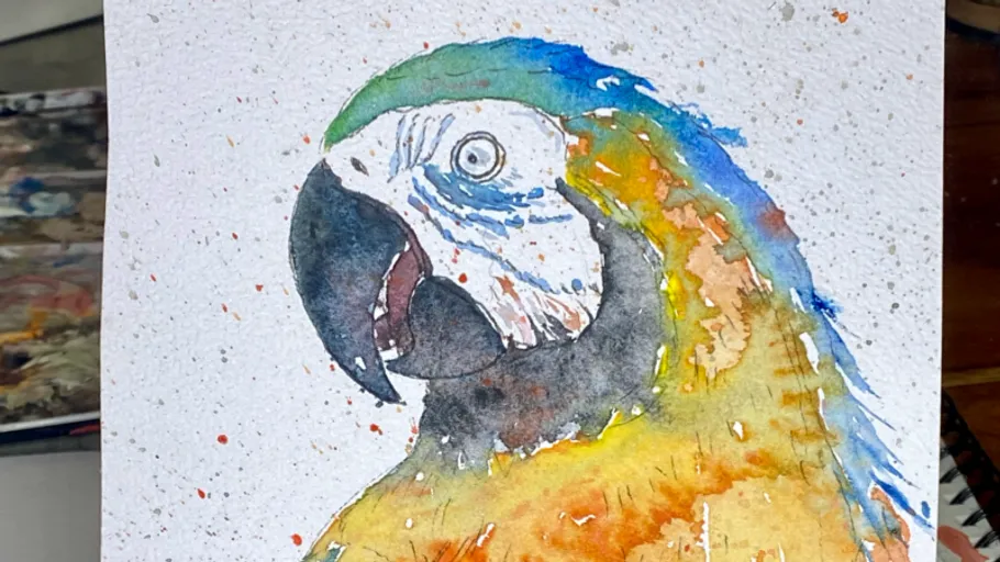 Bunter Papagei auf strukturiertem Papier gemalt.