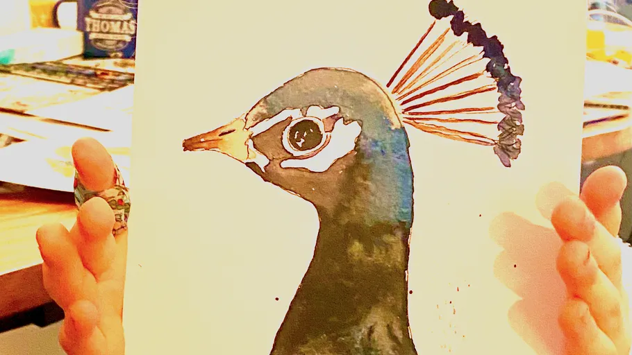 Hand holding colorful peacock drawing.
