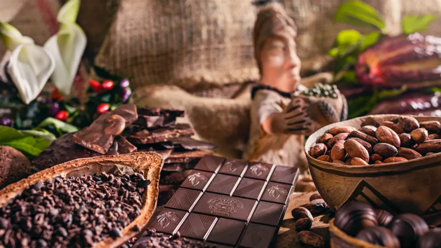 Chocolate, cacao beans, and organic decor displayed.