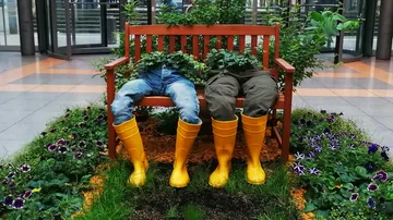 Bench with pants and plants, indoors.