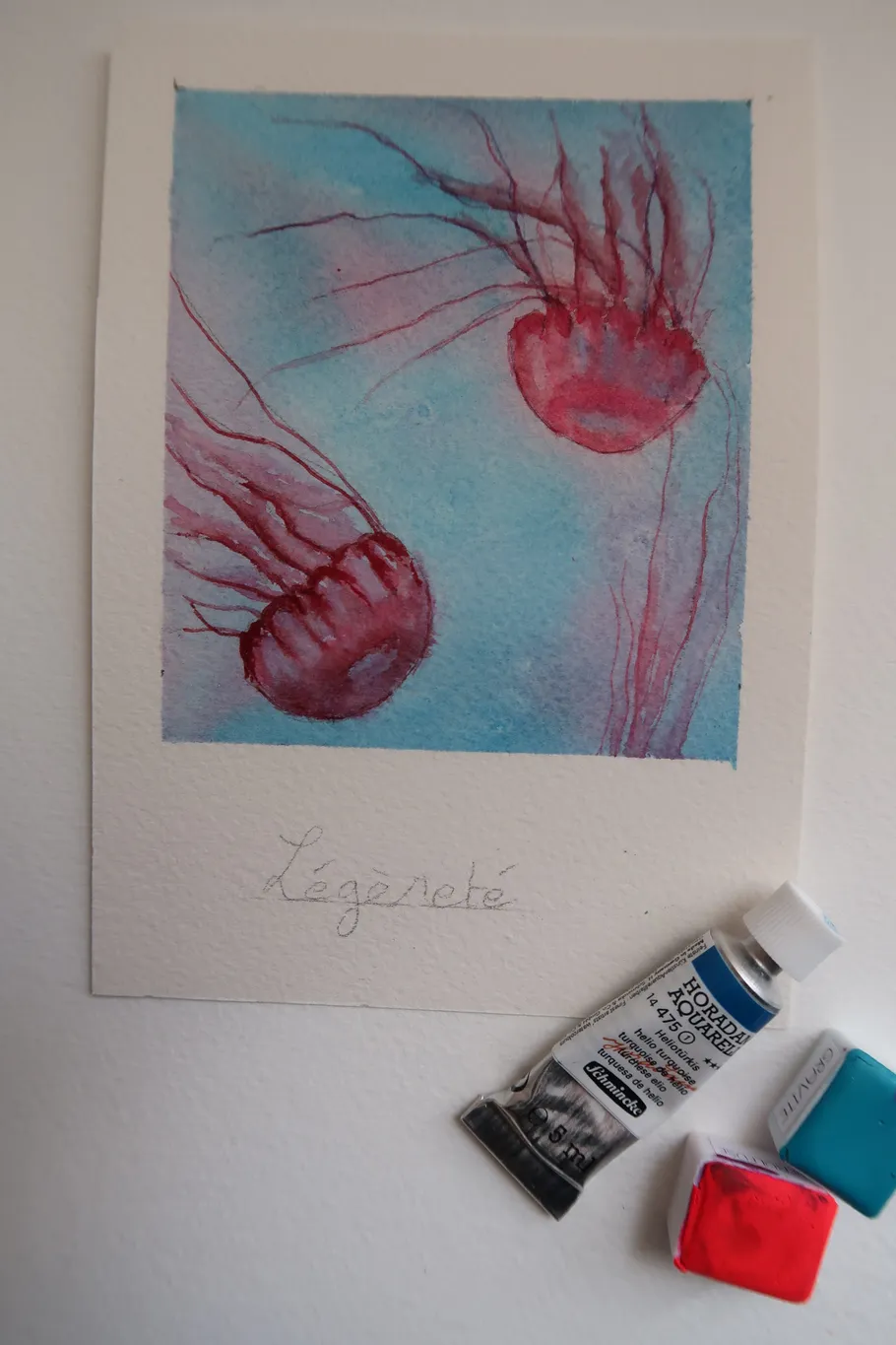 Aquarellbild von Quallen mit Farbtuben.