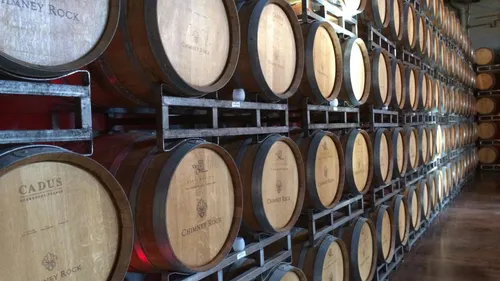 Wine barrels stacked in a cellar.