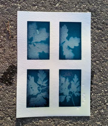Weiße Blattdrucke auf blauem Papier im Freien.