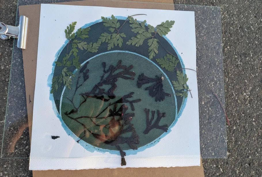 Gepresste Blätter auf runder bemalter Fläche im Freien.