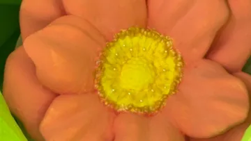 Orange Blume mit gelber Mitte, grüner Hintergrund.