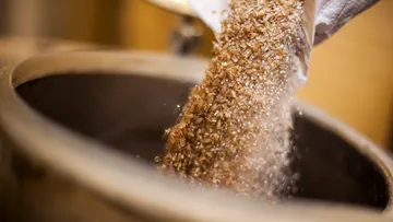 Grains being poured into metal container.