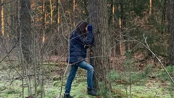 Person leans against tree in forest.