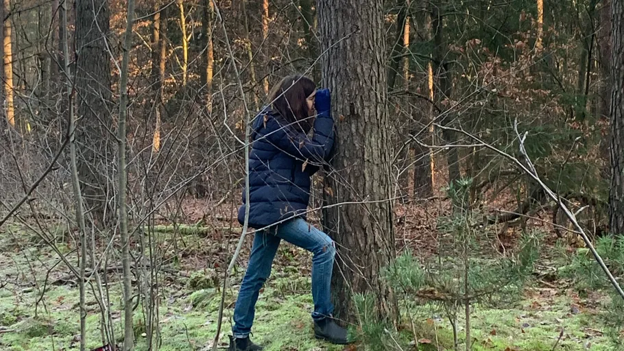 Person lehnt an einem Baum im Wald.