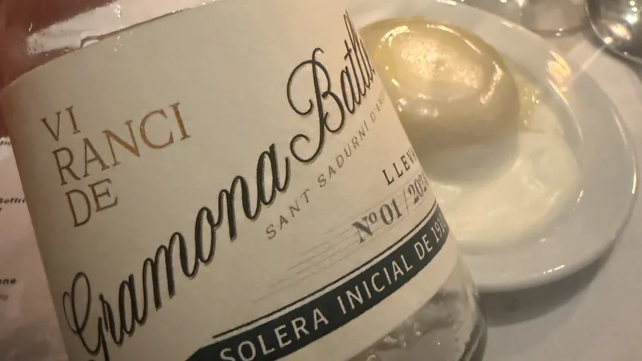 Wine bottle with dish in background.