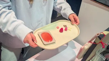 Person holds tray with food items.