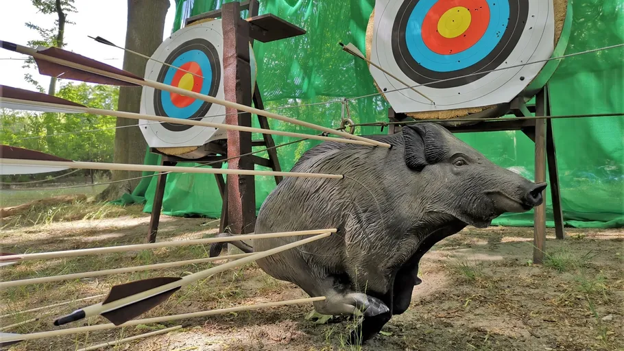 Archery targets and wild boar with arrows outdoors.