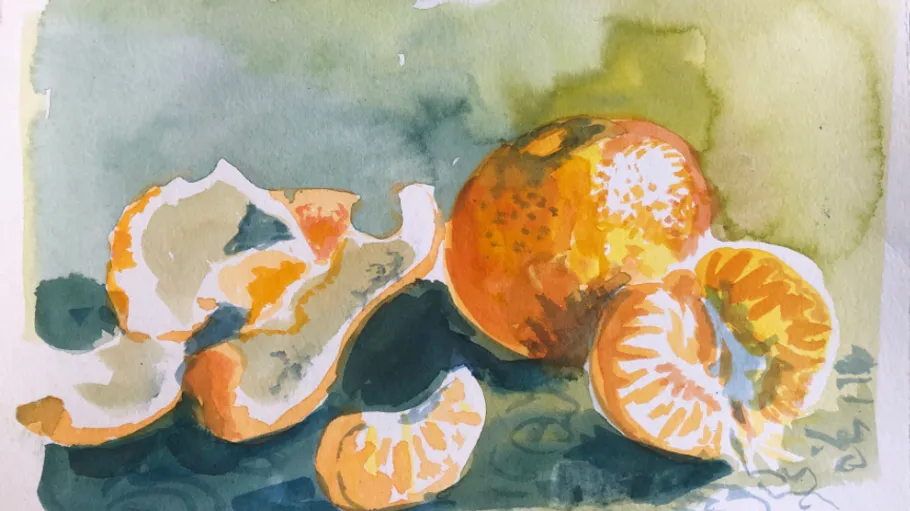 Orange and slices painted on paper.
