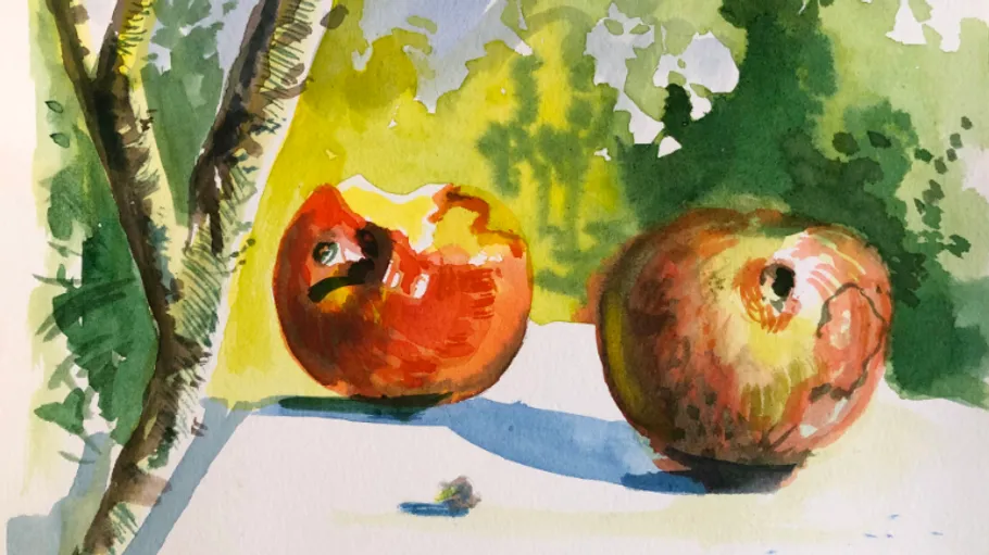 Two apples on a sunlit surface.