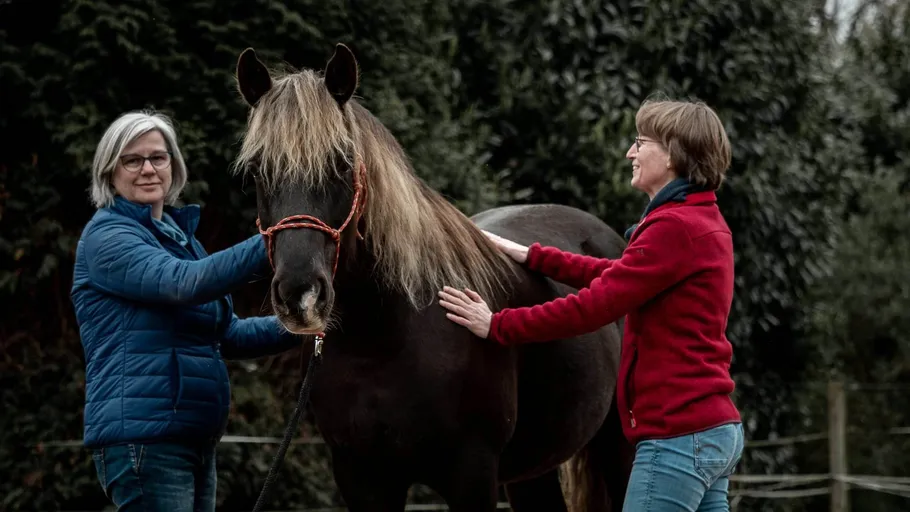 Two women petting a horse outdoors.