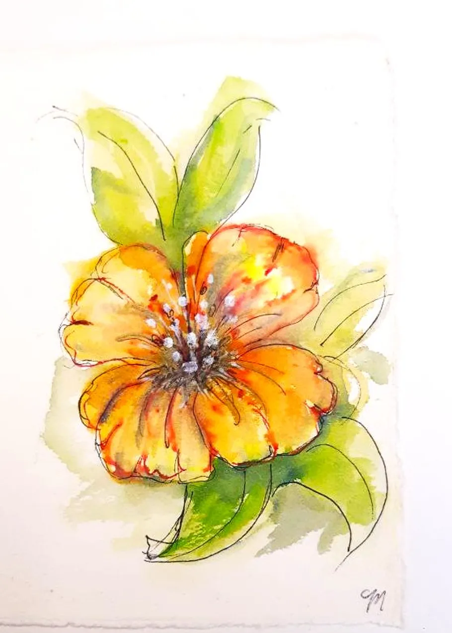 Vibrant orange flower with green leaves.