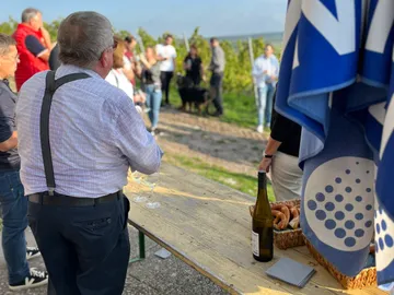 Man looking at a crowd of people in a vineyard having drinks.