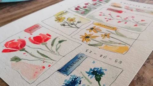 Aquarellskizzen von Blumen mit Beschriftungen.