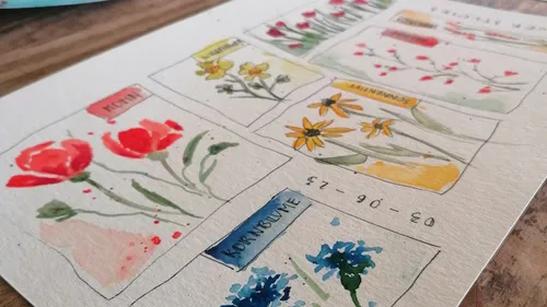 Watercolor sketches of flowers with labels.