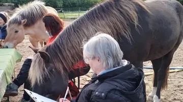 Horses near people in outdoor setting.