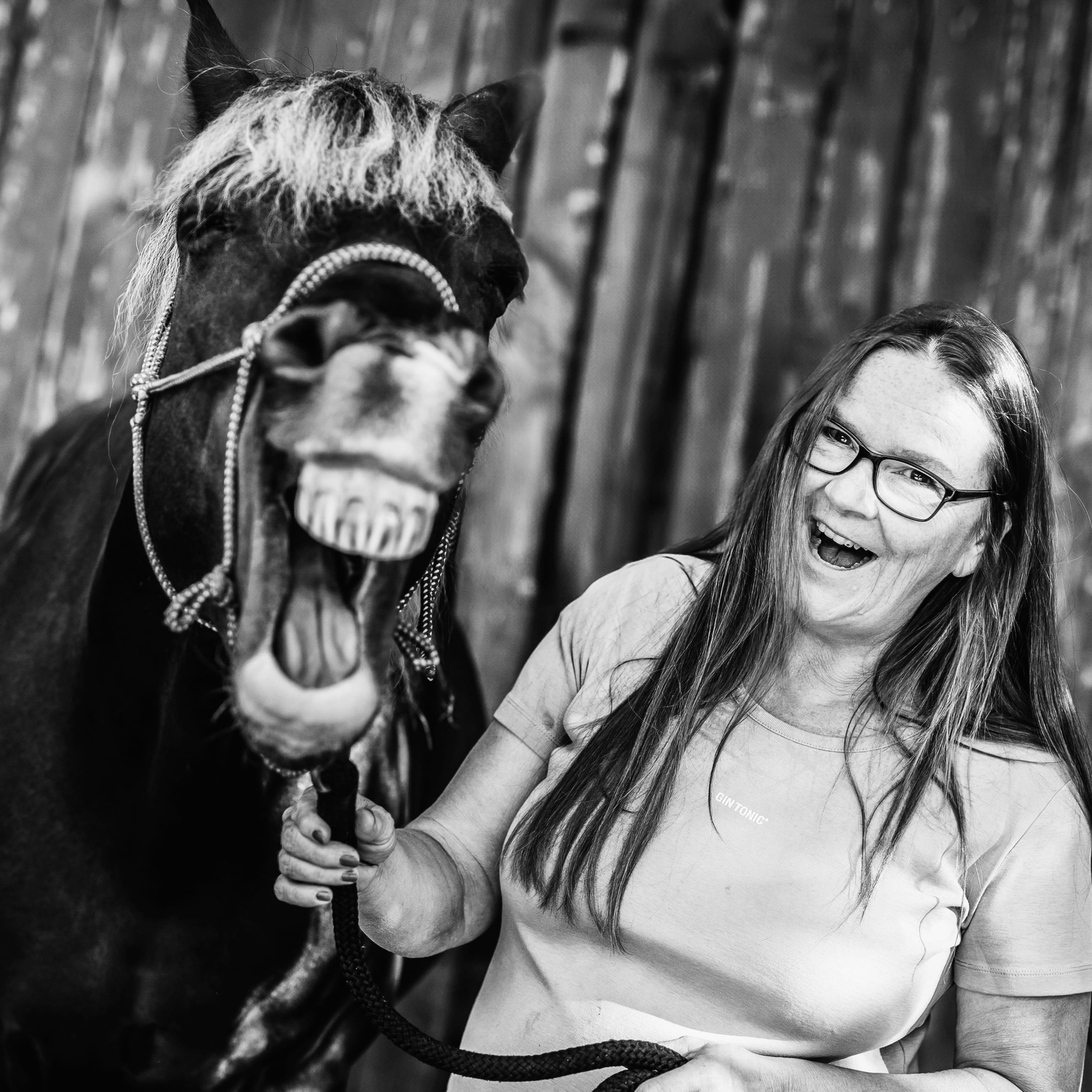 Pferdegestütztes Coaching in Viersen - Workshop mit Pferden