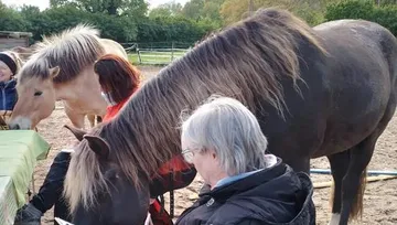 Pferde interagieren mit sitzenden Personen im Freien.