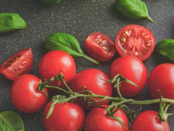 Rote Tomaten liegen neben frischem Basilikum auf einer dunklen Oberfläche.