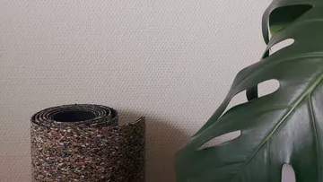 Gerollter Teppich und Pflanzenblatt an Wand.