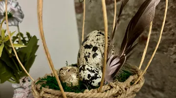 Speckled eggs with feathers in a basket.