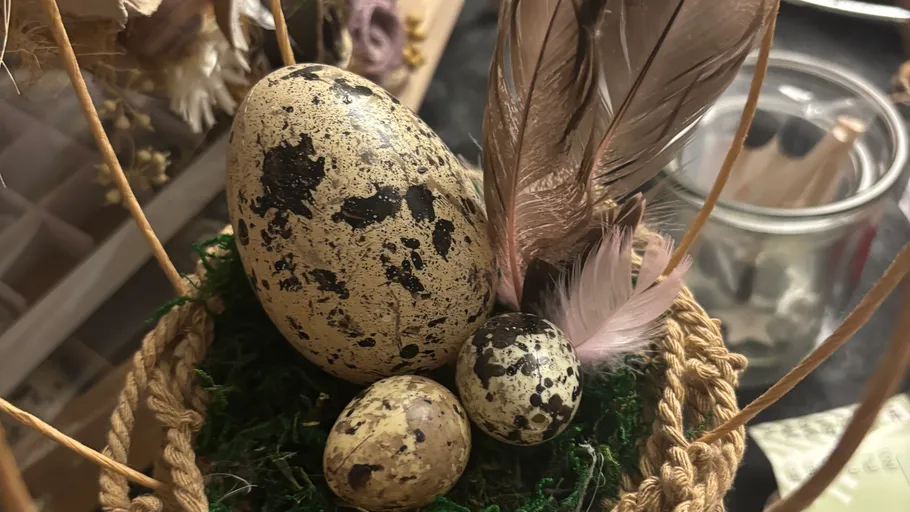 Speckled eggs in nest with feathers, indoors.