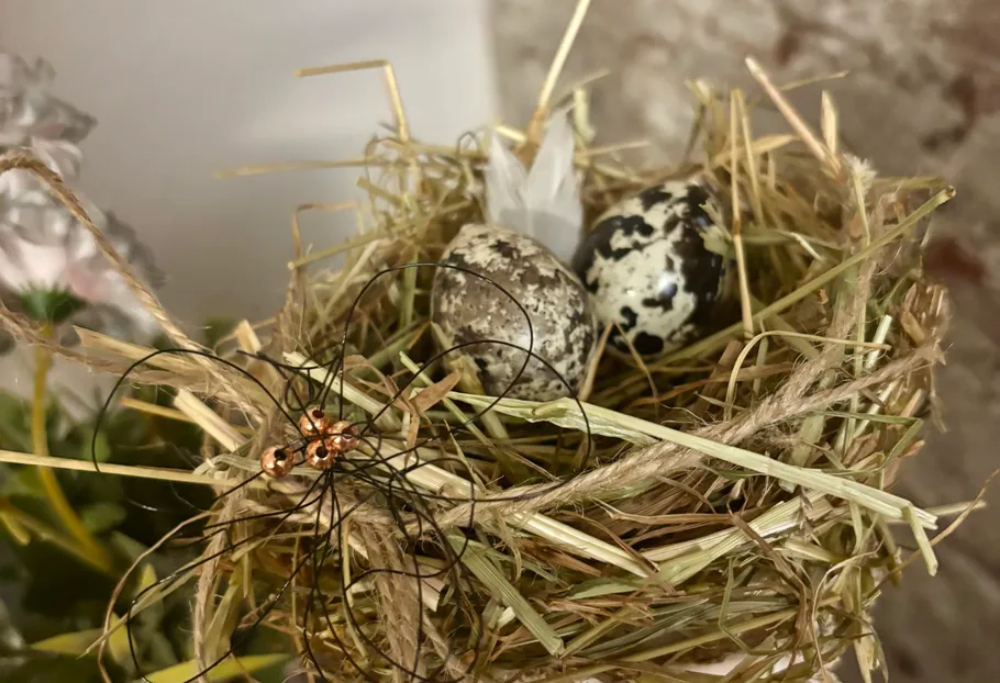 Two speckled eggs in a nest indoors.