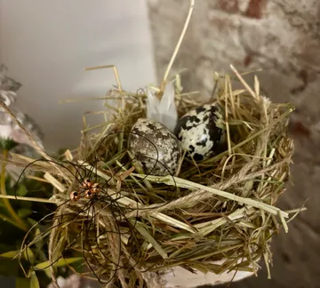 Quail eggs in straw nest, decorative setting.